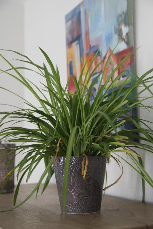 Aux Herbes Folles Herve Екстериор снимка